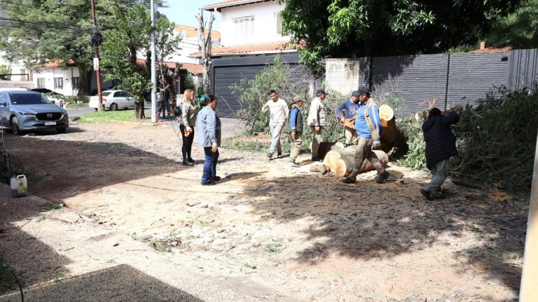 Comuna Capitalina activó gran operativo de respuesta ante la tormenta de anoche
