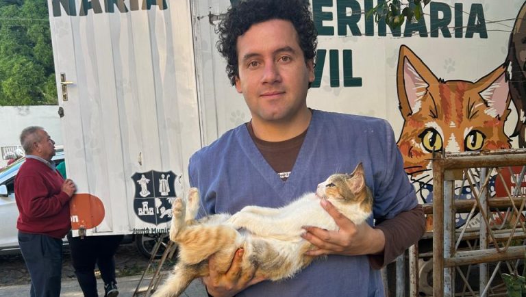 La Unidad de Prevención de Zoonosis continúa su campaña de castración de gatos y perros