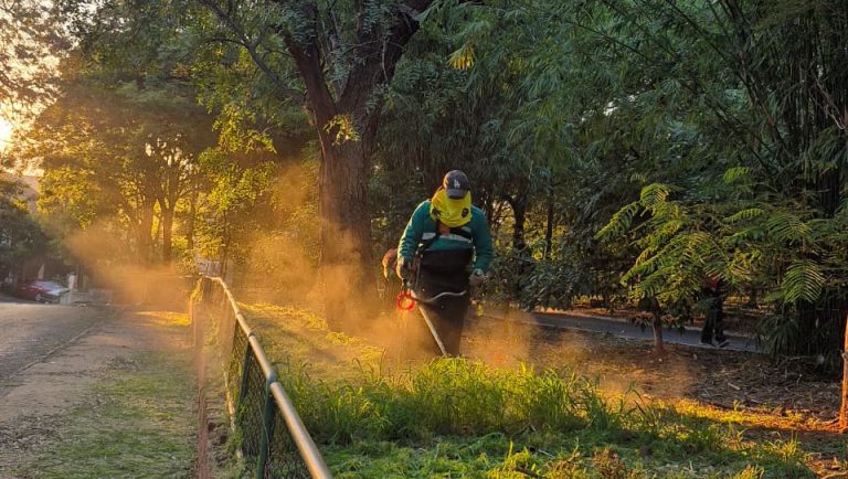 La Dirección de Servicios Urbanos trabaja sin pausas en la preservación de los patrimonios verdes de la ciudad