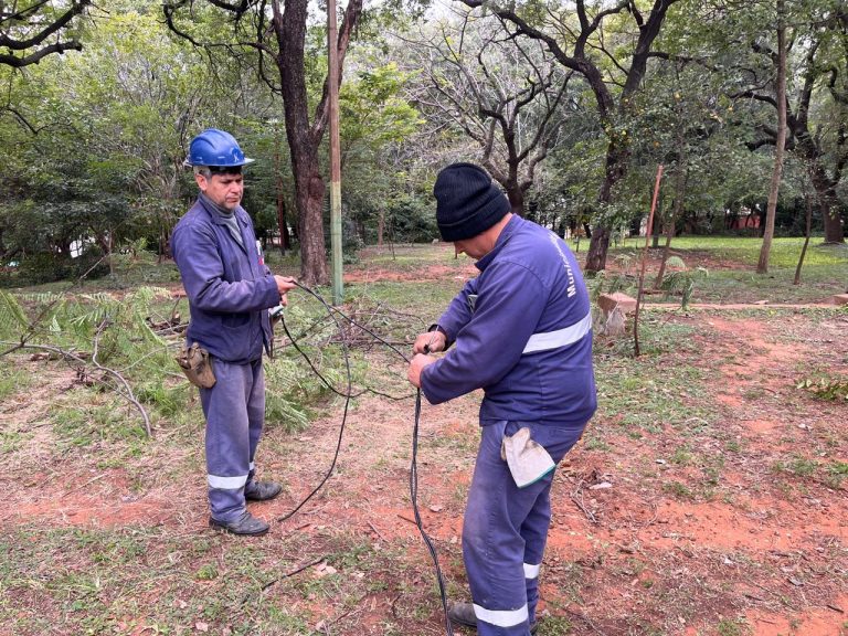 Más luz y más seguridad: El Parque Carlos Antonio López se transforma con una masiva renovación lumínica
