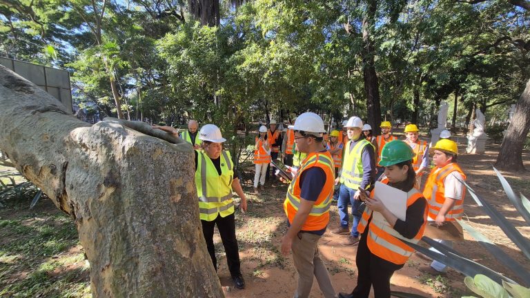Municipalidad de Asunción prioriza la conservación del arbolado y la seguridad en la Plaza Uruguaya