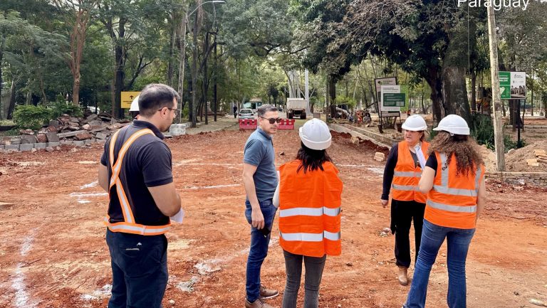 Un majestuoso tarumá del Parque Caballero se convertirá en patrimonio natural de Asunción