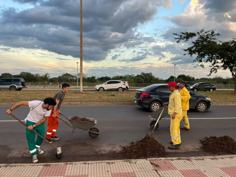 La Dirección de Servicios Urbanos prosigue con su ejecución de un mega operativo limpieza en toda la extensión de la Costanera Norte