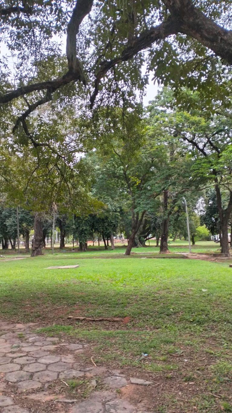Gran minga ambiental en homenaje a los 100 años del Parque Bernardino Caballero