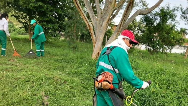La Dirección de Servicios Urbanos deja a punto la plaza Mártires de la Policía