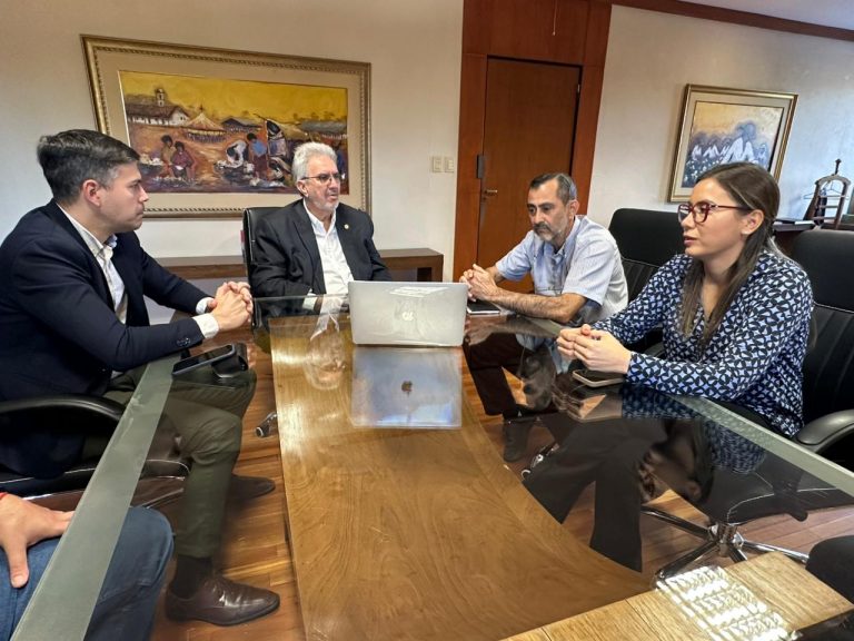 De residuos a energía: Asunción proyecta convertir los restos de poda en biomasa para la industria