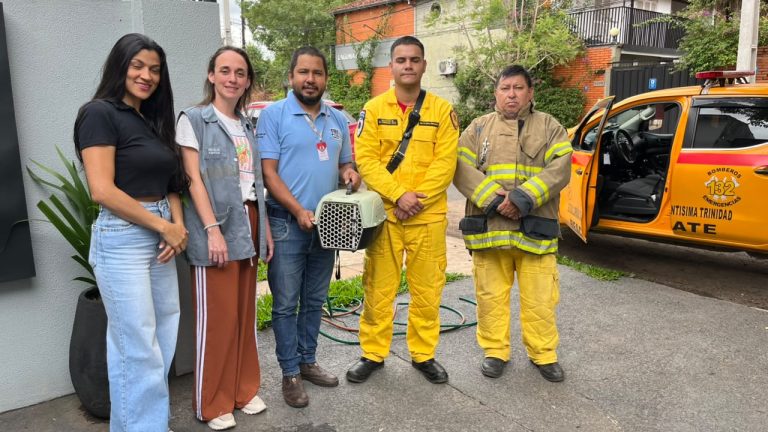 Municipalidad de Asunción rescató a una zarigüeya y sus crías en el barrio Mburukujá
