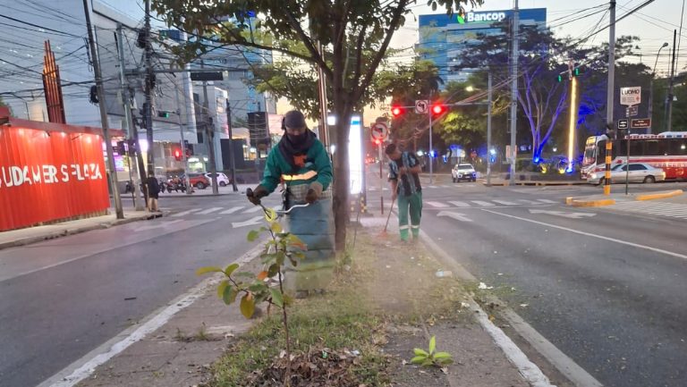 La Dirección de Servicios Urbanos realiza trabajos de mantenimiento por tramos a lo largo de la avenida Mariscal López
